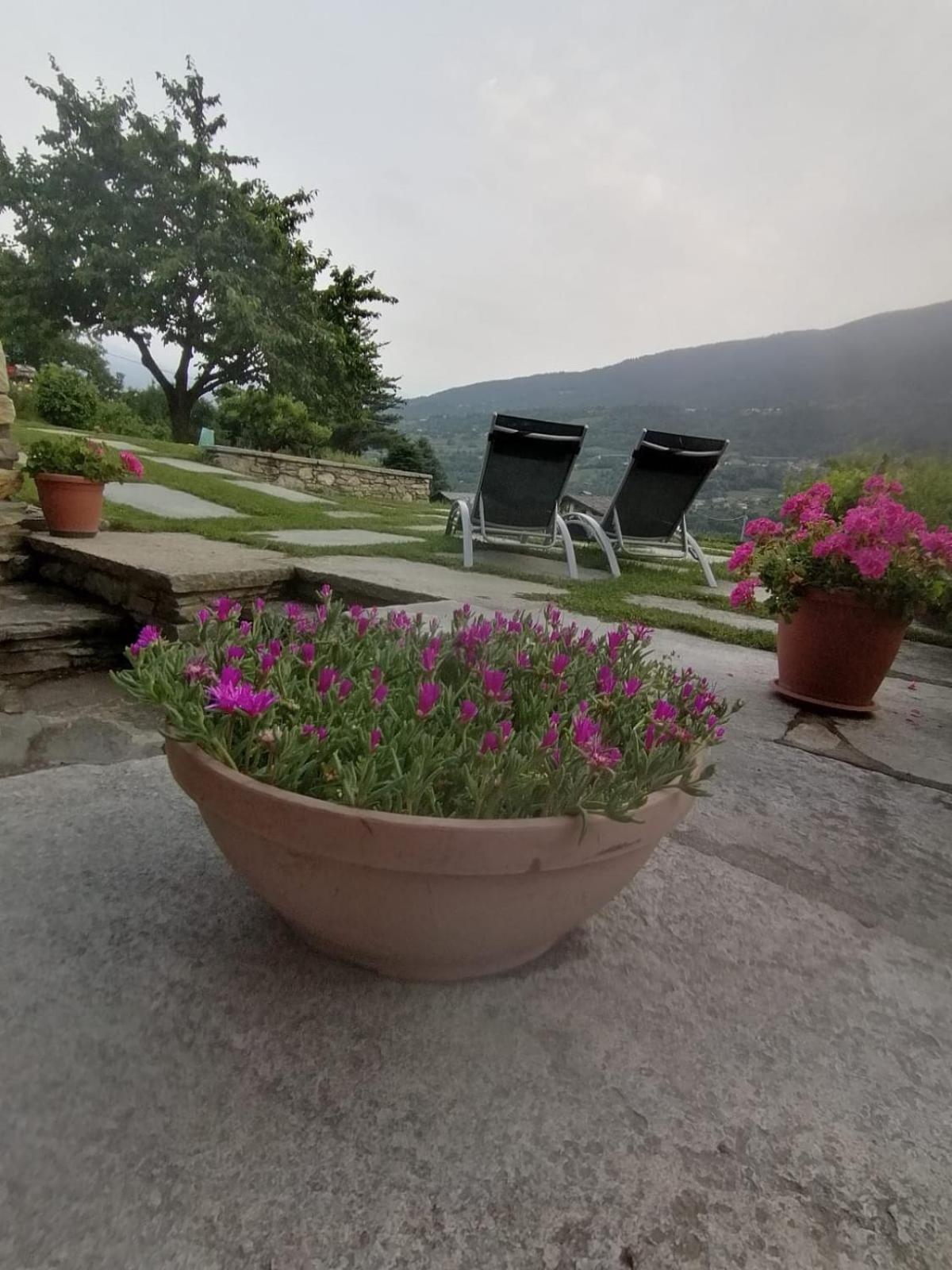 Mini House Valle D'Aosta Roisan Dış mekan fotoğraf